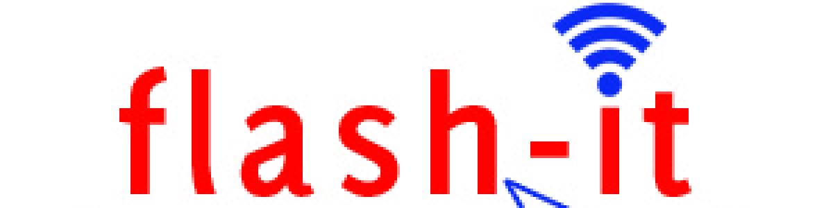 Flash It logo