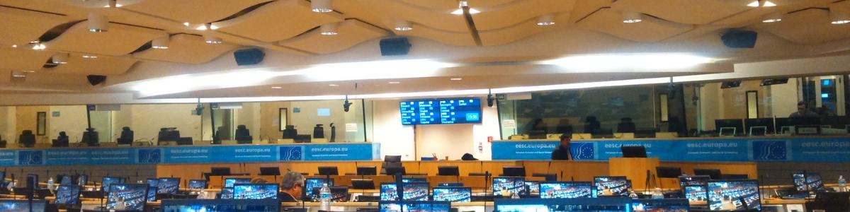 L'avenir prometteur de l'économie sociale dans l'UE social economy-future of the eu