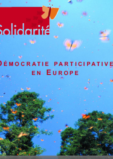 capture la démocratie partipative