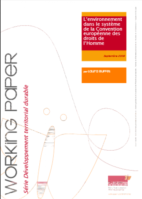 image couverture L’environnement dans le système de la Convention européenne des droitsde l’Homme