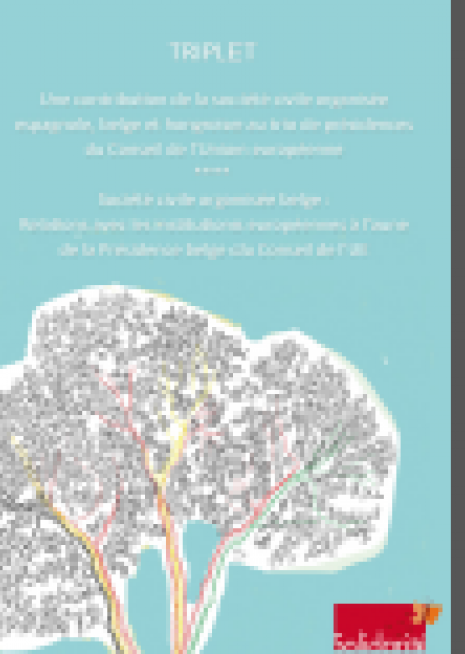 capture relation entre societe civile et institutions